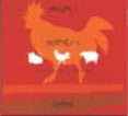imagina 1: animals 1-eulalia martinez-9788498250558 imagina 1: animals 1-eulalia martinez-9788498250558