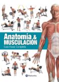 anatomia & musculacion (color) (ebook)-9788499105758 anatomia & musculacion (color) (ebook)-9788499105758