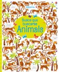 busca que buscaras (cat)-kristeen robson-9781474948968 busca que buscaras (cat)-kristeen robson-9781474948968
