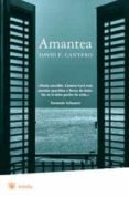 amantea-david f. cantero-9788478715268 amantea-david f. cantero-9788478715268