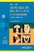 anatomia de los animales domesticos (t. 1): aparato locomotor (2ª ed.)-horst erich könig-hans-georg liebich-9788479037468 anatomia de los animales domesticos (t. 1): aparato locomotor (2ª ed.)-horst erich könig-hans-georg liebich-9788479037468