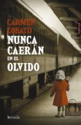 nunca caerán en el olvido (ebook)-carmen lobato-9788416691678 nunca caerán en el olvido (ebook)-carmen lobato-9788416691678