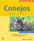 conejos: manuales mascotas en casa-monika wegler-9788425515088 conejos: manuales mascotas en casa-monika wegler-9788425515088