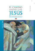 el camino abierto por jesus. lucas-jose antonio pagola-9788428824088 el camino abierto por jesus. lucas-jose antonio pagola-9788428824088
