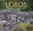 lobos-mario saenz de buruaga-9788416610198 lobos-mario saenz de buruaga-9788416610198