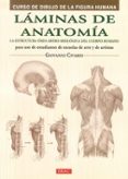 láminas de anatomía: curso de dibujo de la figura humana-giovanni civardi-9788498744798 láminas de anatomía: curso de dibujo de la figura humana-giovanni civardi-9788498744798