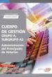 cuerpo de gestion grupo a, subgrupo a2, de la administracion del principado de asturias. cuestionarios segundo ejercicio-9788499372518 cuerpo de gestion grupo a, subgrupo a2, de la administracion del principado de asturias. cuestionarios segundo ejercicio 9788499372518