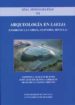 arqueologia en laelia: cerro de la cabeza, olivares, sevilla (spa l monografias, vi)-9788447208128 arqueologia en laelia: cerro de la cabeza, olivares, sevilla (spa l monografias, vi) 9788447208128