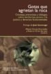 gotas que agrietan (ebook)-9789586653398 gotas que agrietan (ebook) 9789586653398