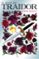 el beso del traidor-erin beaty-9788420487168 el beso del traidor erin beaty 9788420487168