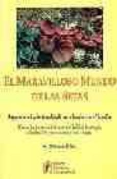 Portada de EL MARAVILLOSO MUNDO DE LAS SETAS