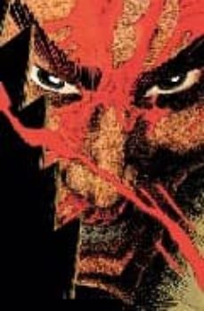 Portada de ABSOLUTE RONIN