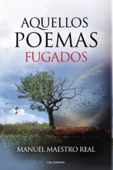 Portada de (I.B.D.) AQUELLOS POEMAS FUGADOS