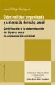 Descargar CRIMINALIDAD ORGANIZADA Y SISTEMA DE DERECHO PENAL: CONTRIBUCION A LA DETERMINACION DEL INJUSTO PENAL DE ORGANIZACION CRIMINAL gratis pdf - leer online