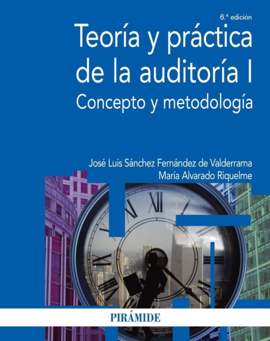 TEORIA Y PRACTICA DE LA AUDITORIA I CONCEPTO Y METODOLOGIA (6ª ED