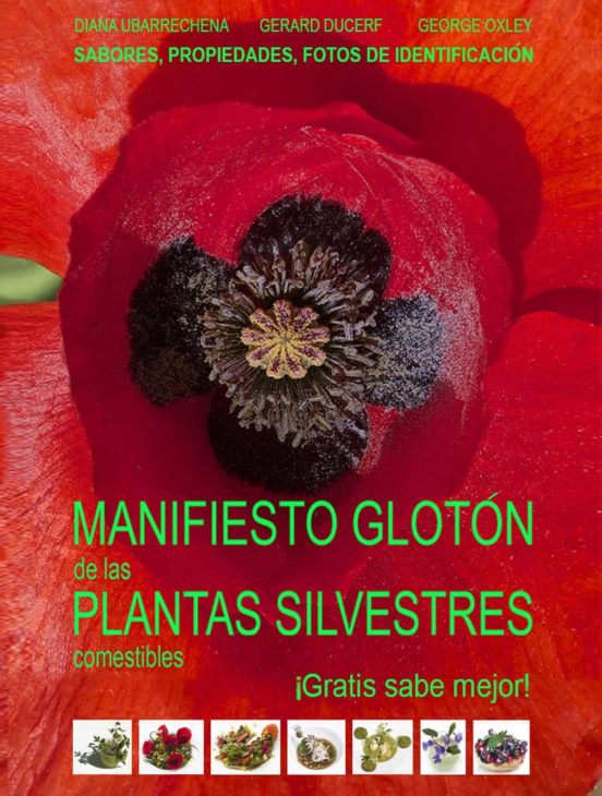 Manifiesto Glot U00d3n De Las Plantas Silvetres Comestibles