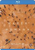 marea humana - blu ray --8436535547277 marea humana - blu ray --8436535547277